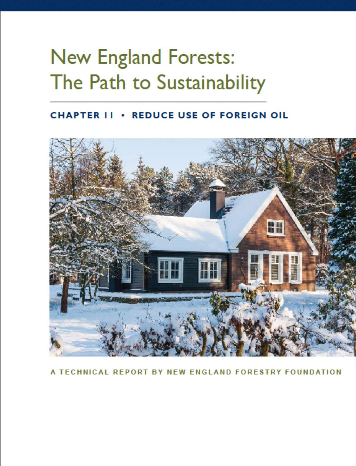 New England Forestry Foundation