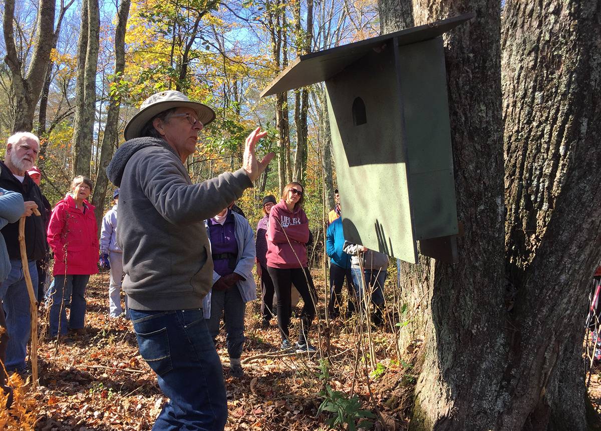 New England Forestry Foundation