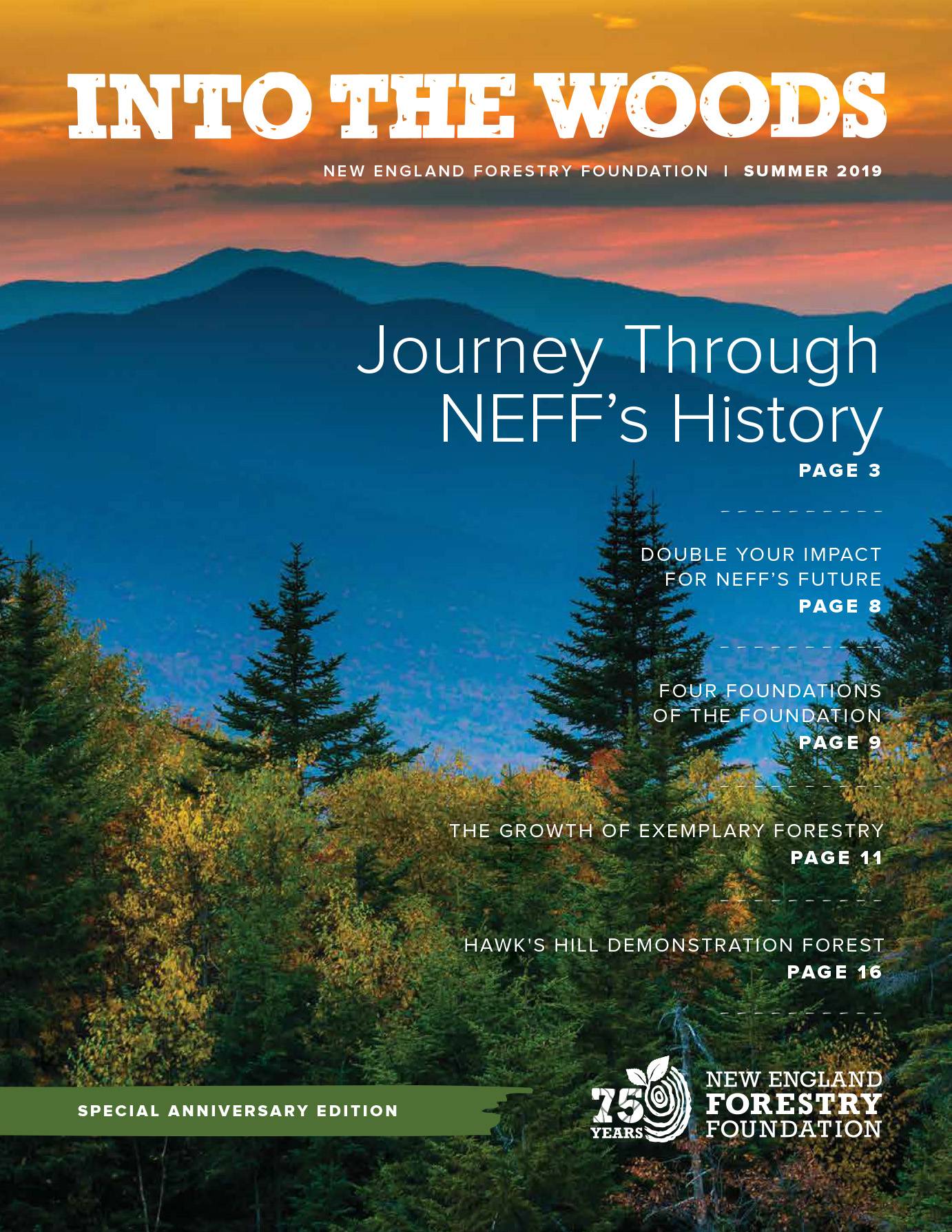 New England Forestry Foundation