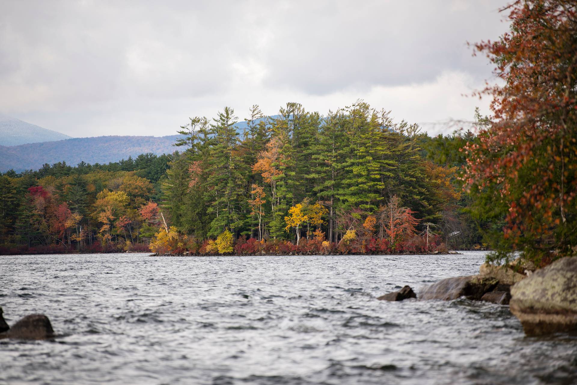 New England Forestry Foundation