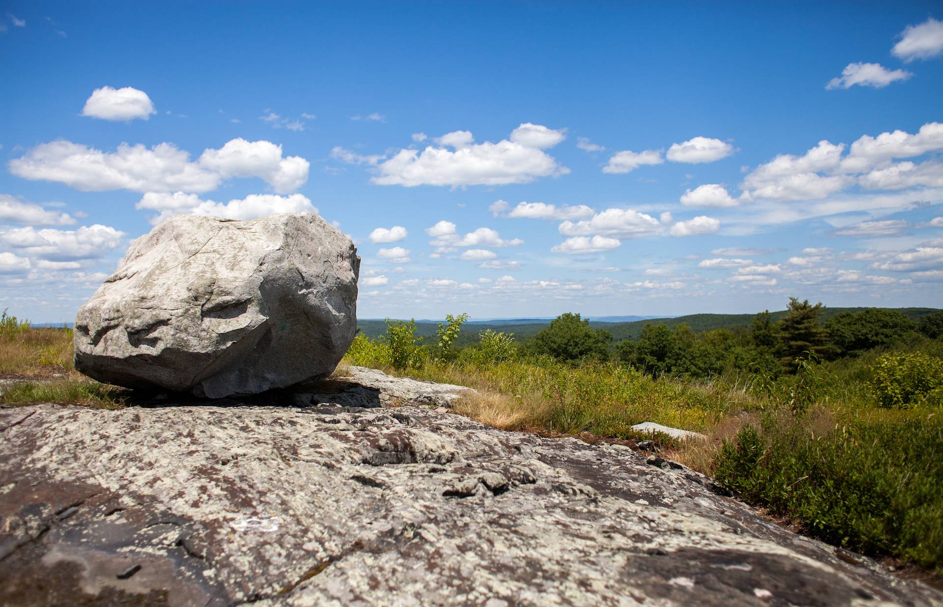 New England Forestry Foundation