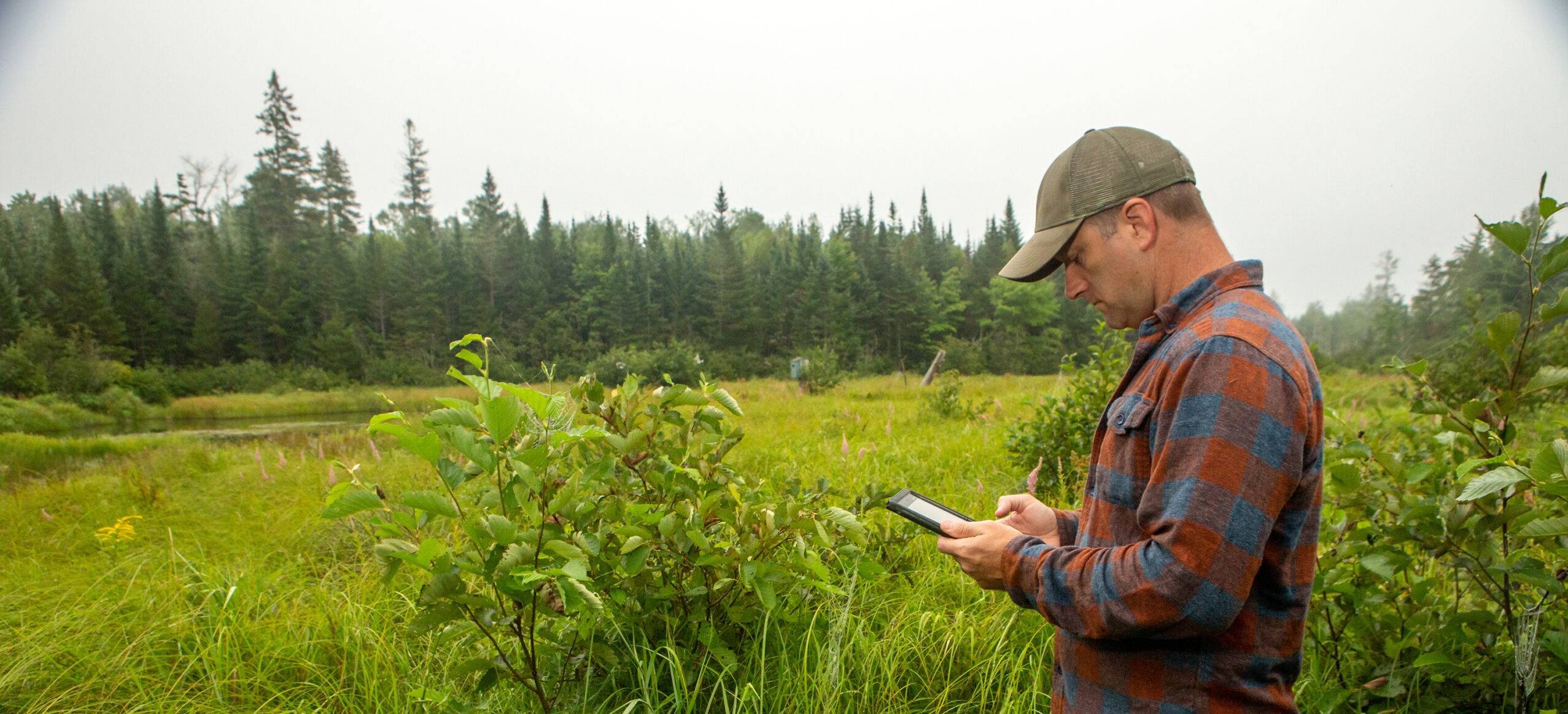 New England Forestry Foundation