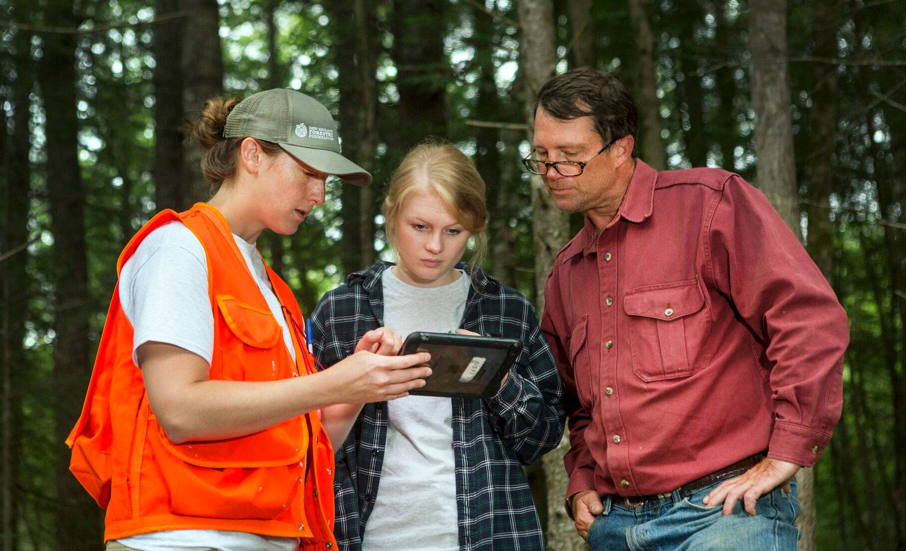 New England Forestry Foundation