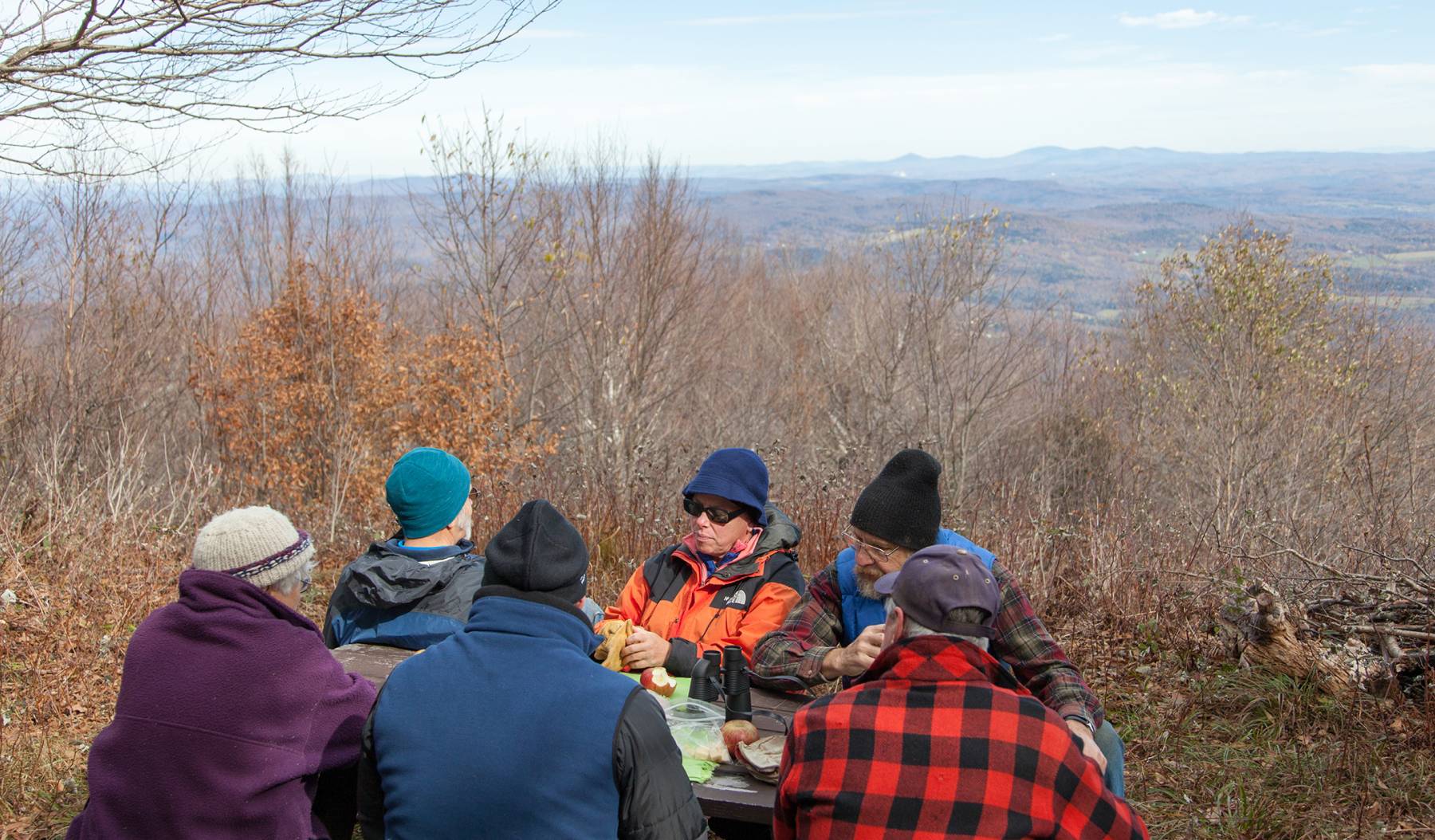 New England Forestry Foundation