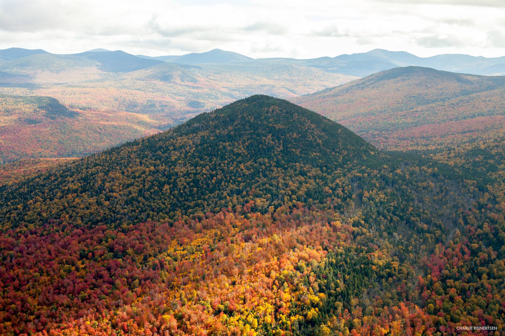 New England Forestry Foundation