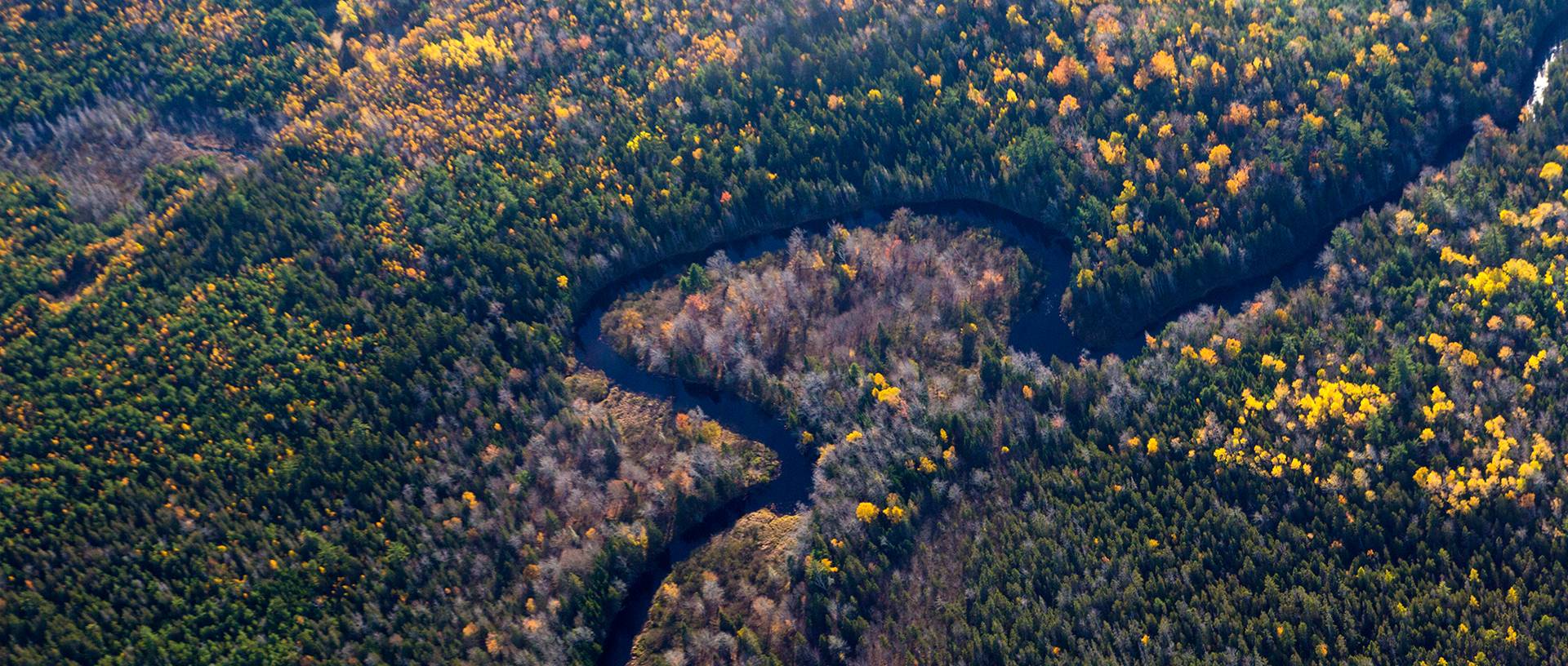 New England Forestry Foundation