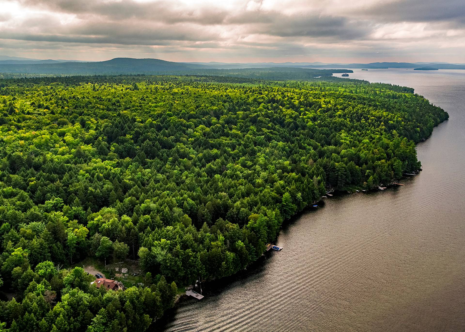 New England Forestry Foundation