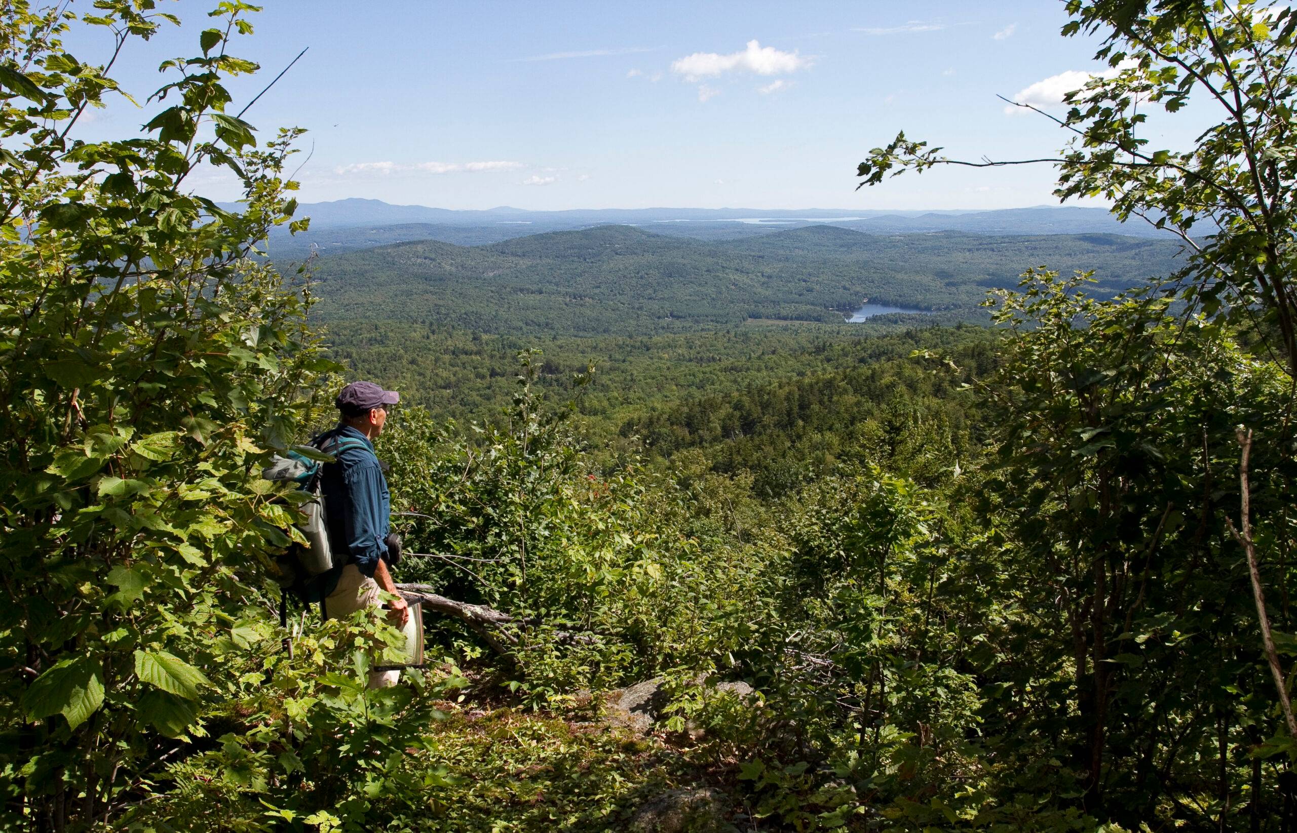 New England Forestry Foundation