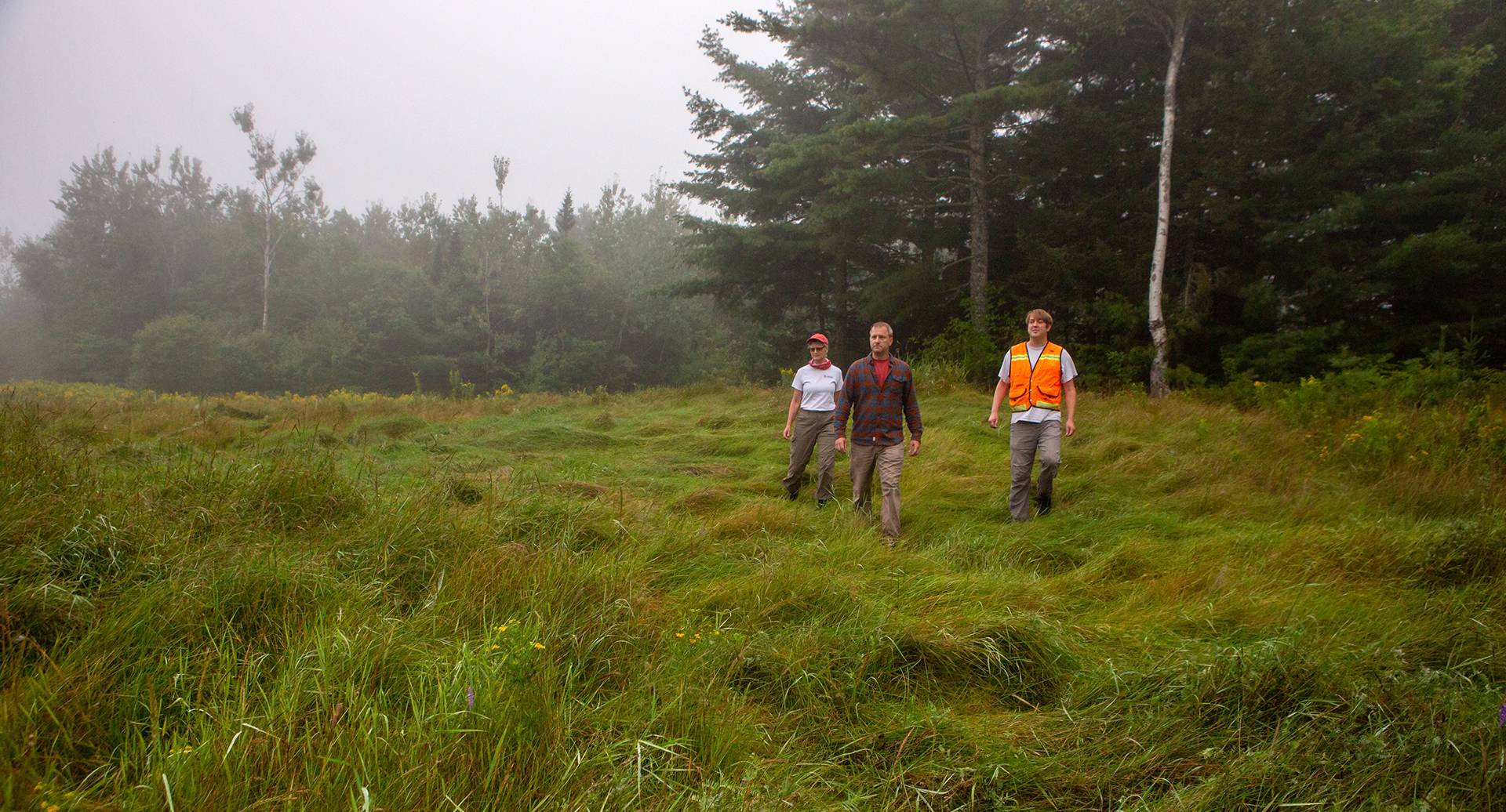 New England Forestry Foundation