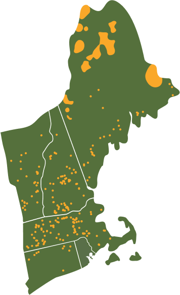 New England Forestry Foundation