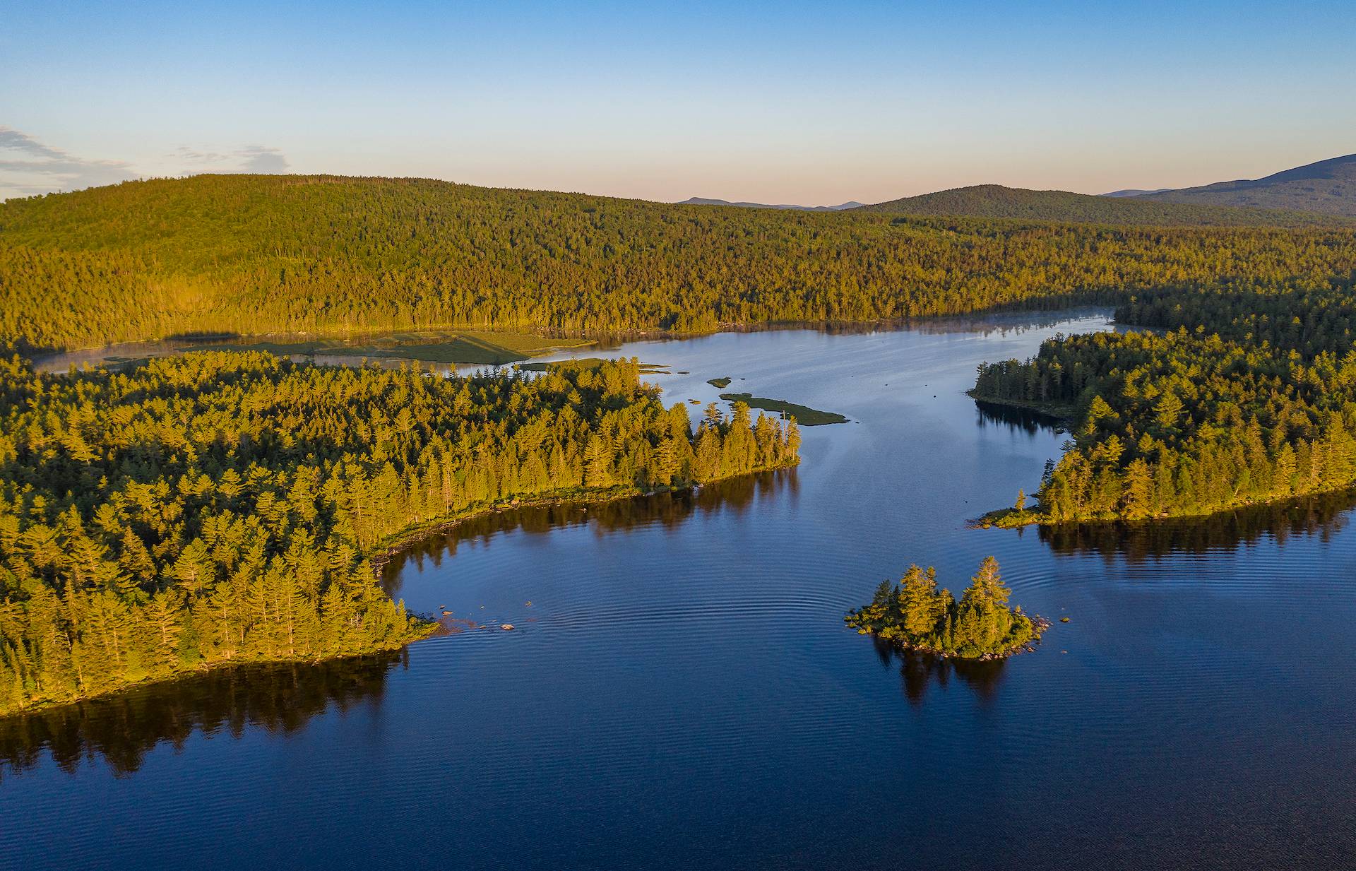 New England Forestry Foundation