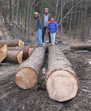 New England Forestry Foundation