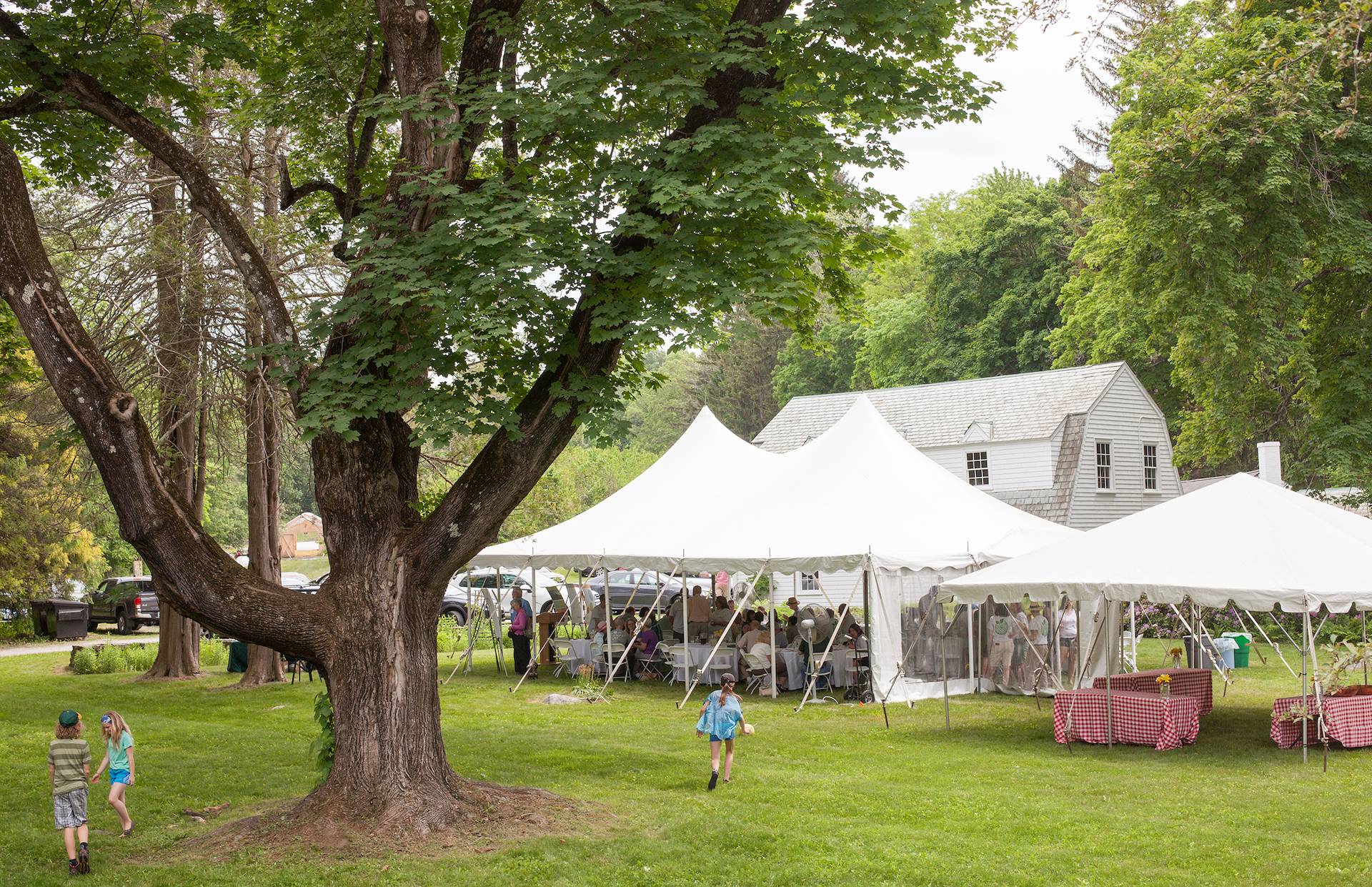 New England Forestry Foundation