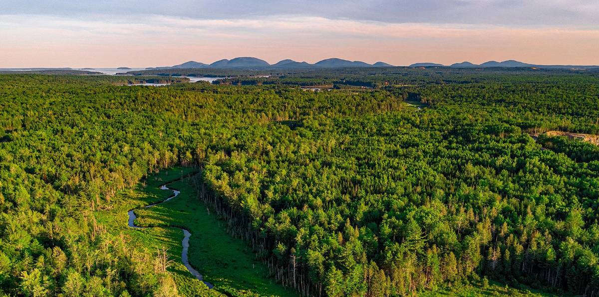 Frenchman-Bay-Community-Forest-Aerial