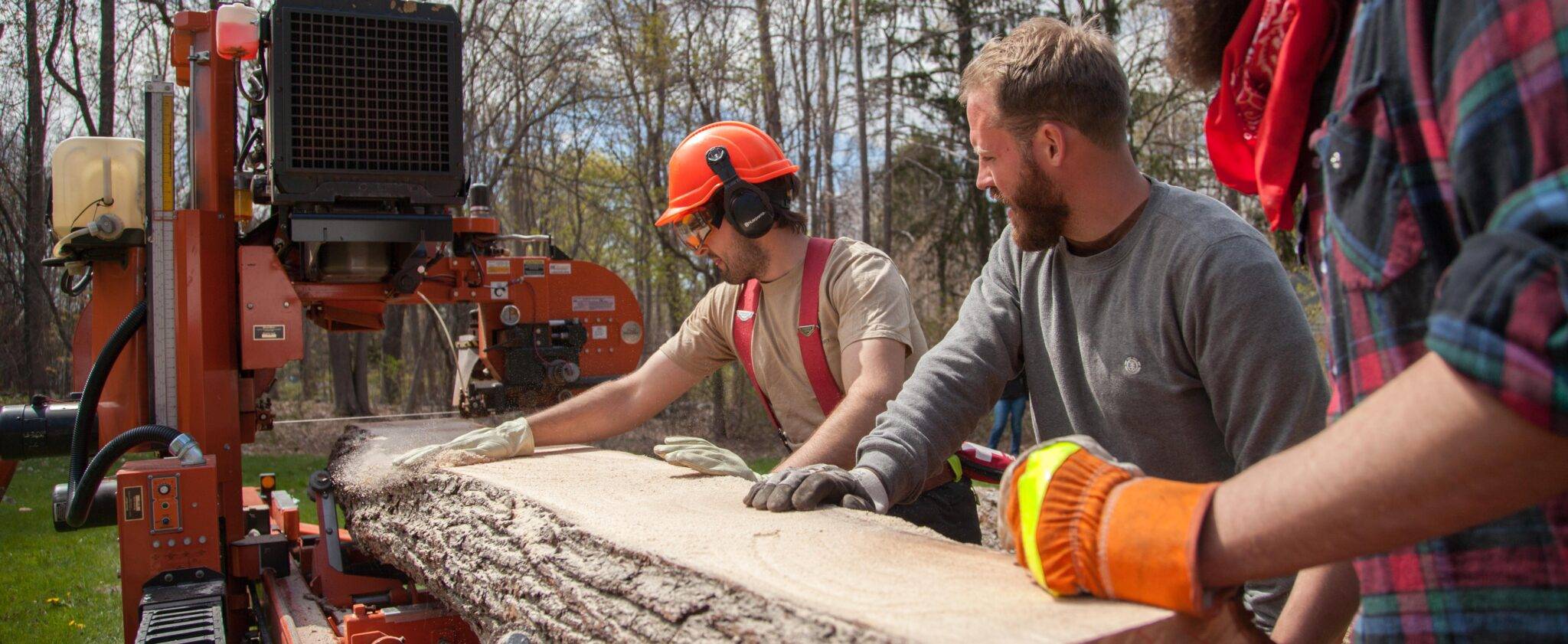 New England Forestry Foundation