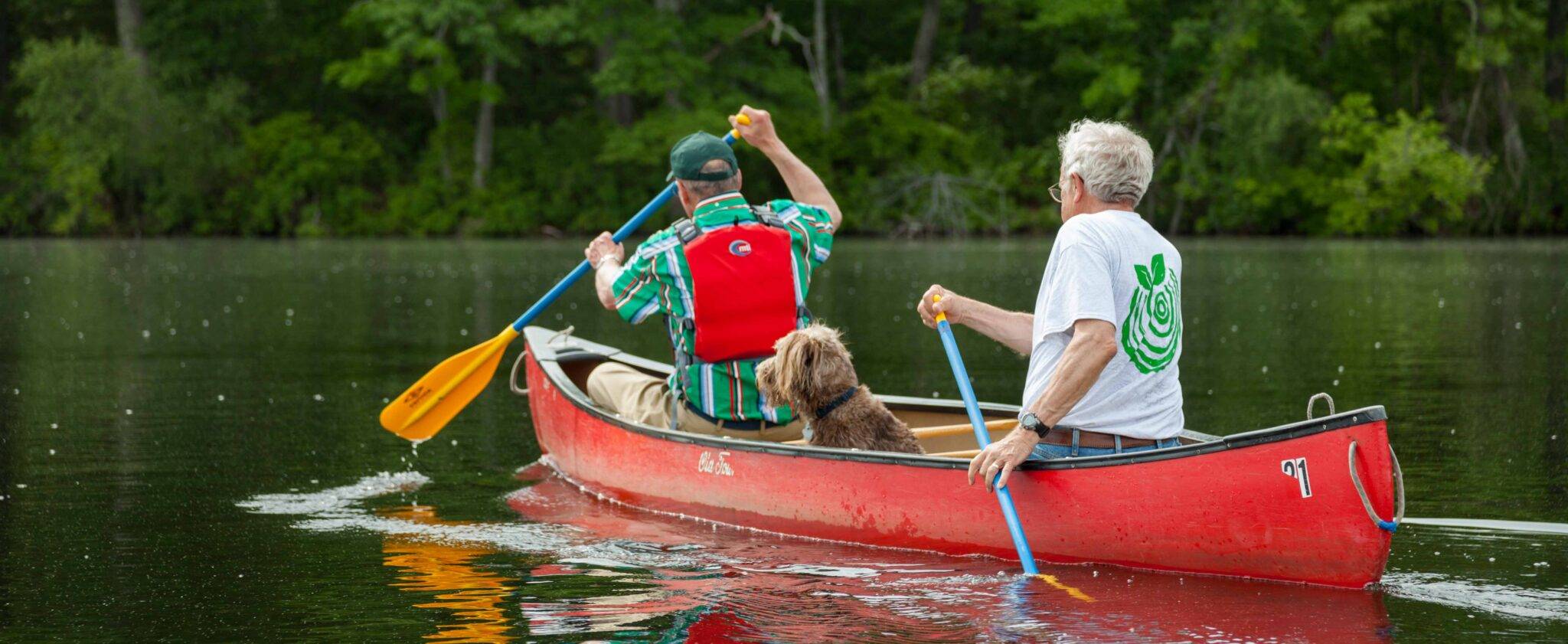 New England Forestry Foundation