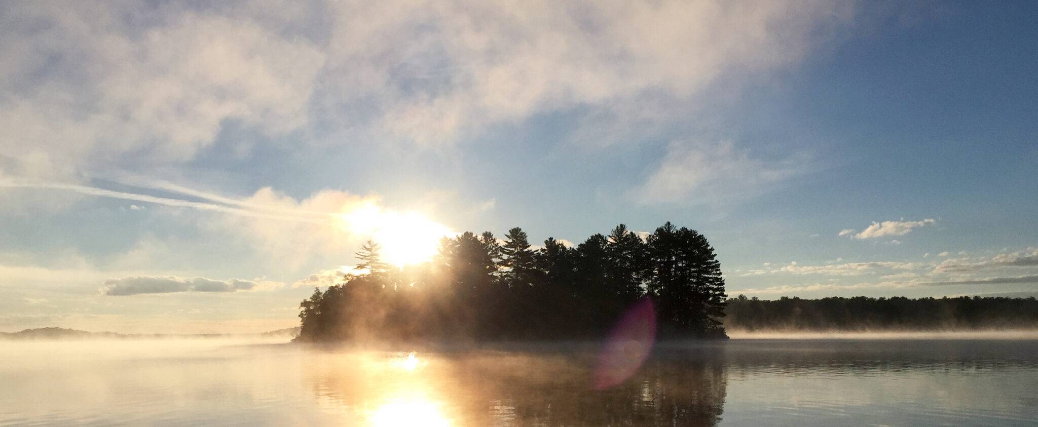 New England Forestry Foundation