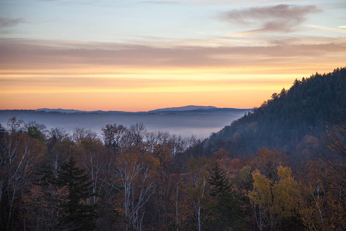 New England Forestry Foundation