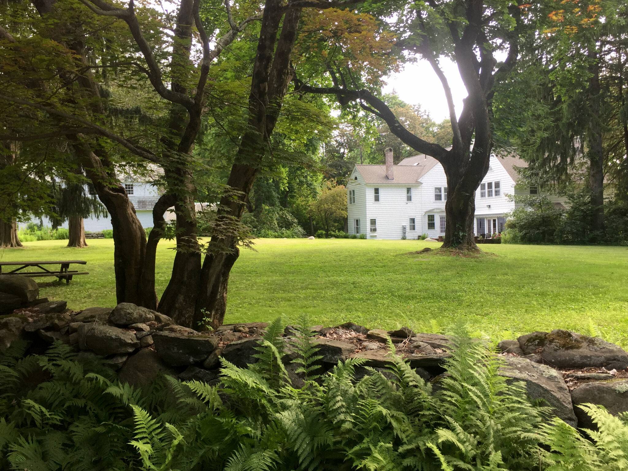 New England Forestry Foundation