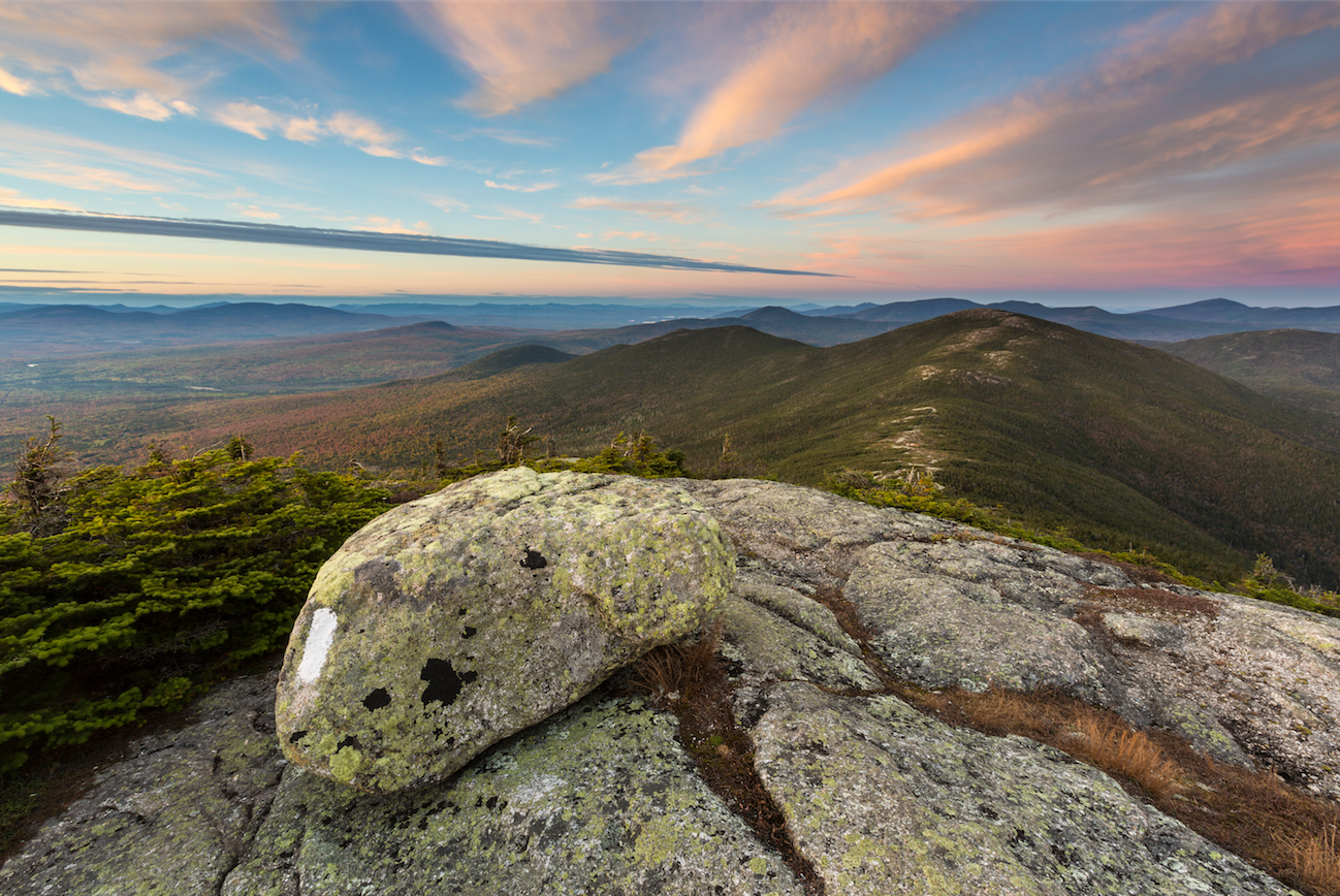 New England Forestry Foundation