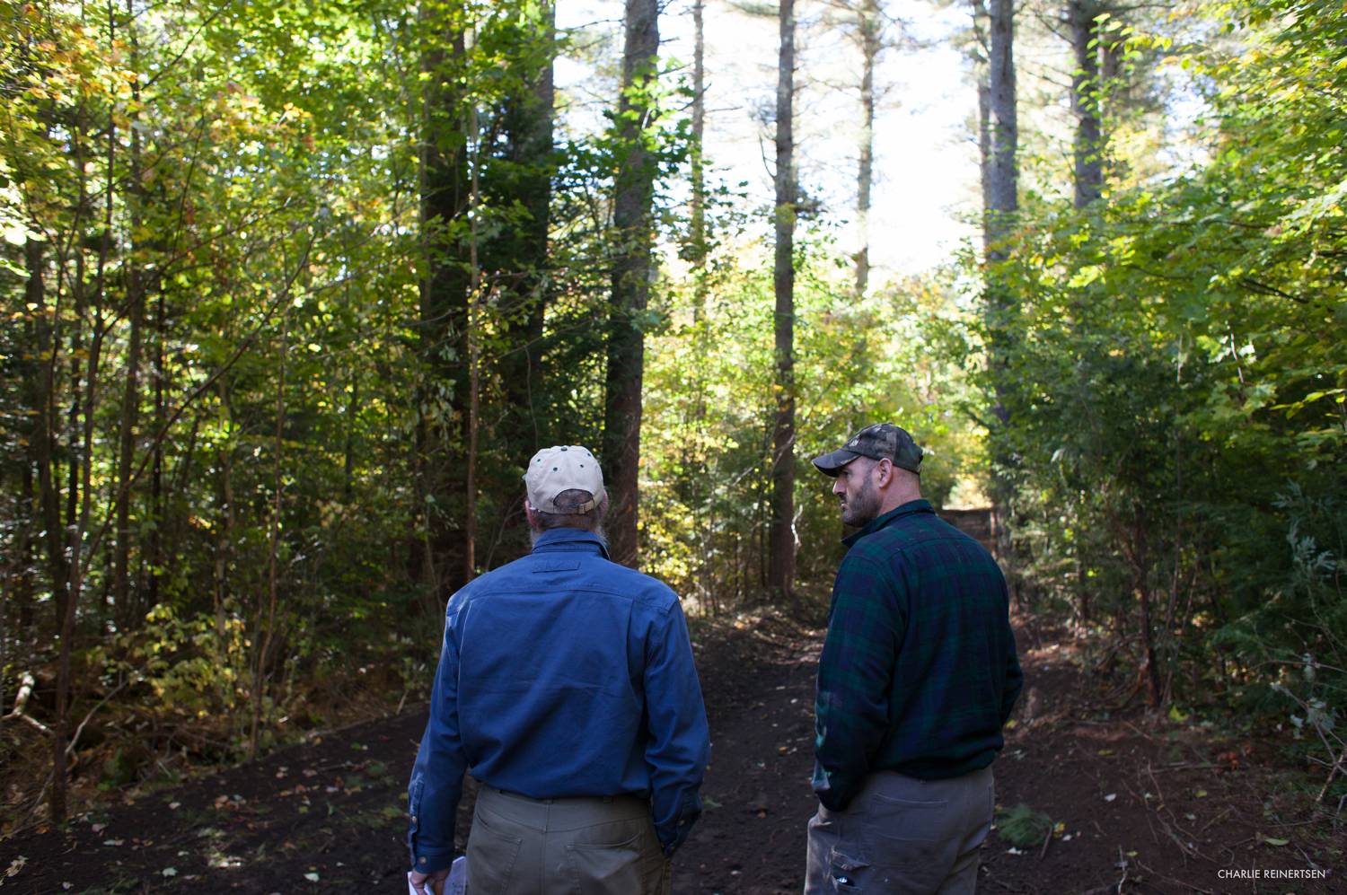 New England Forestry Foundation