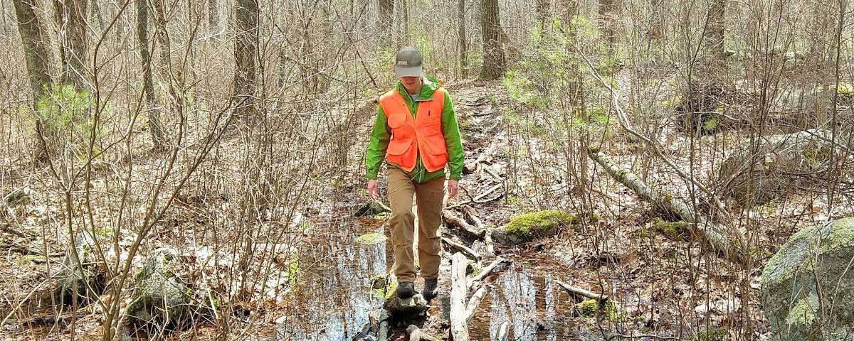 New England Forestry Foundation