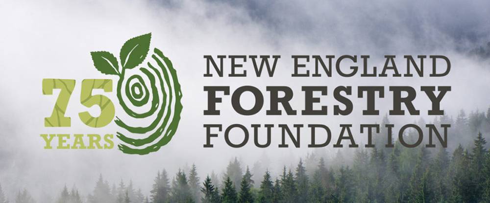 New England Forestry Foundation