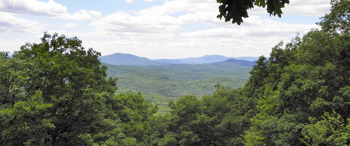 New England Forestry Foundation