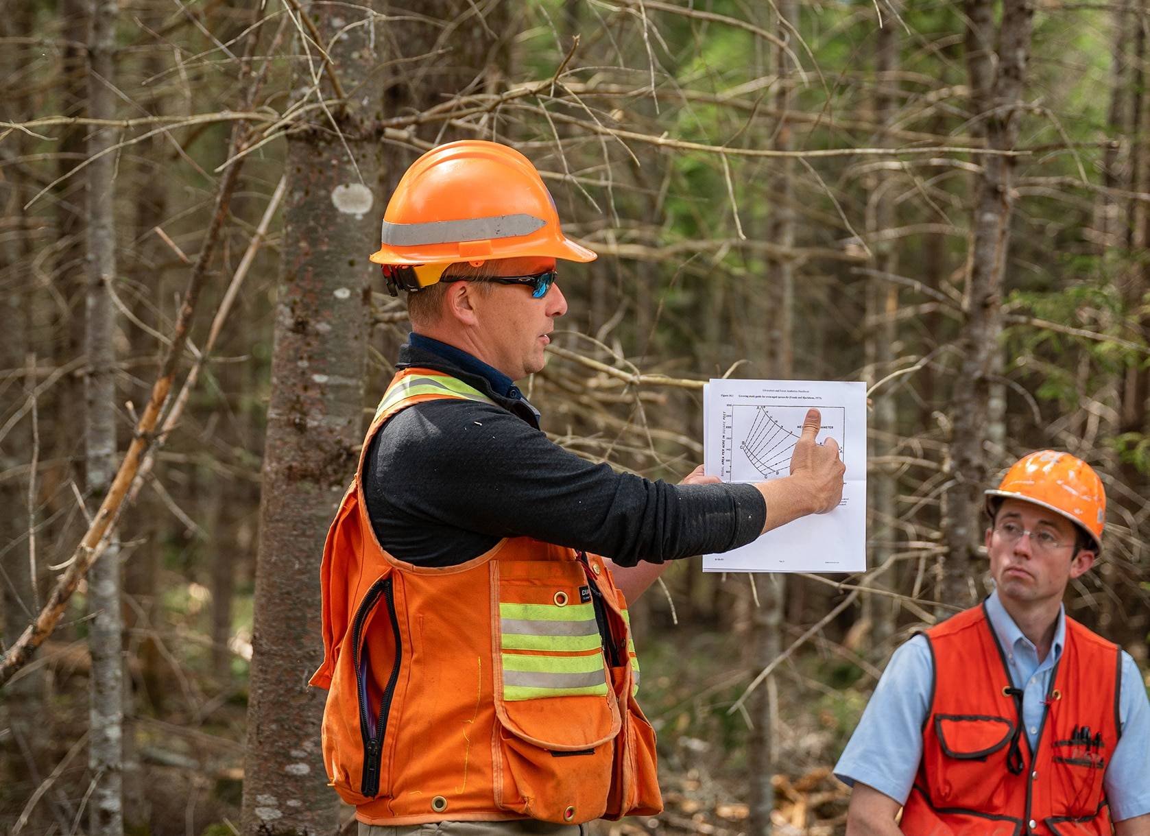 New England Forestry Foundation