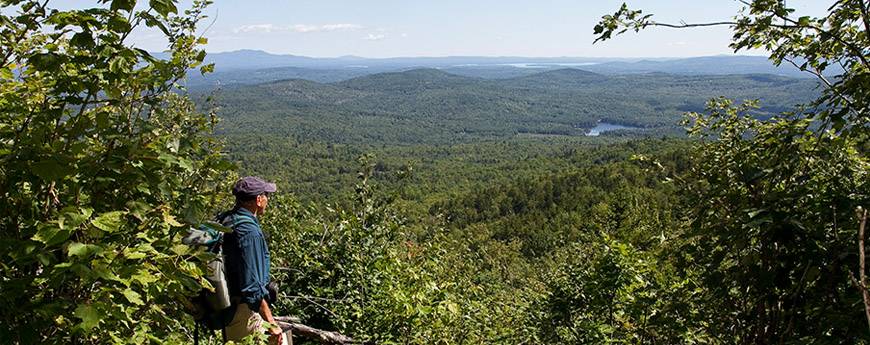 NEFF foresters visit the Harvard Forest campus