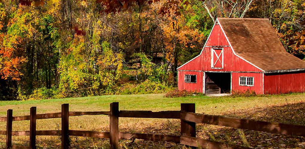 New England Forestry Foundation