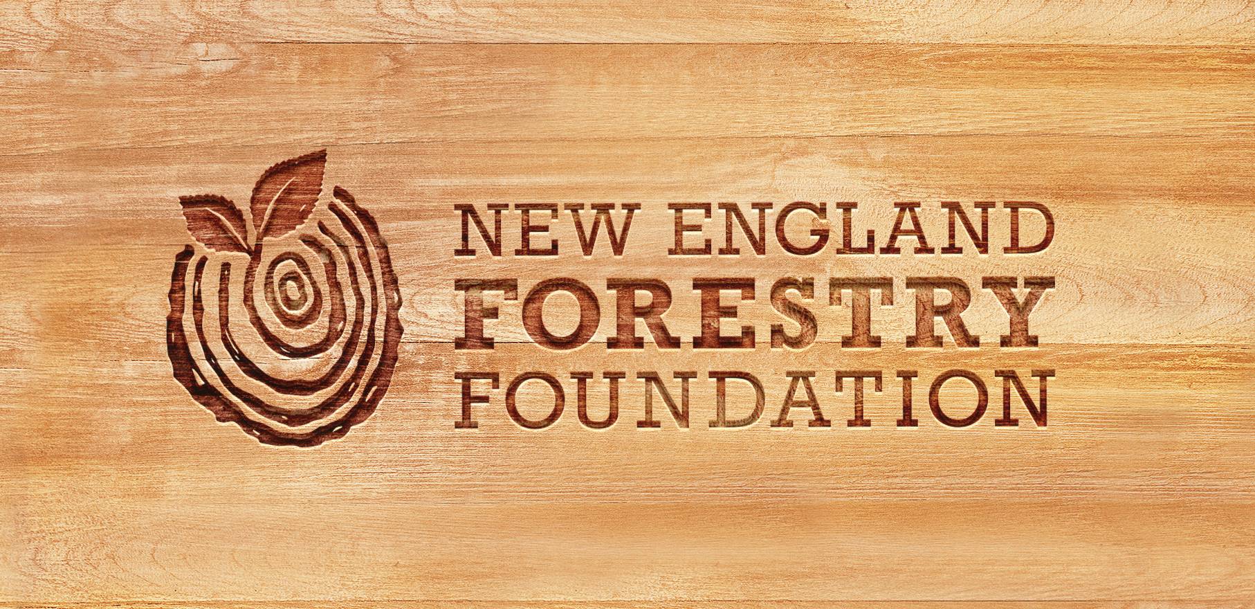 New England Forestry Foundation