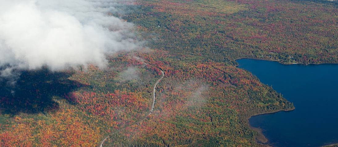 New England Forestry Foundation