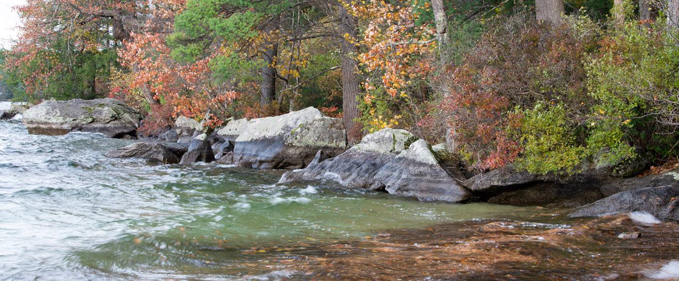 Waves wash fallen leaves onto the beach of NEFF's Chamberlain Reynolds Memorial Forest