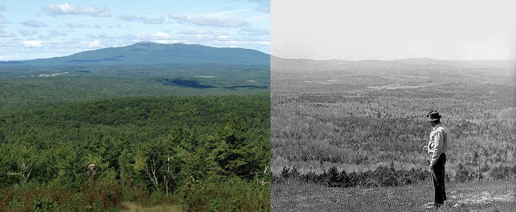 New England Forestry Foundation founders