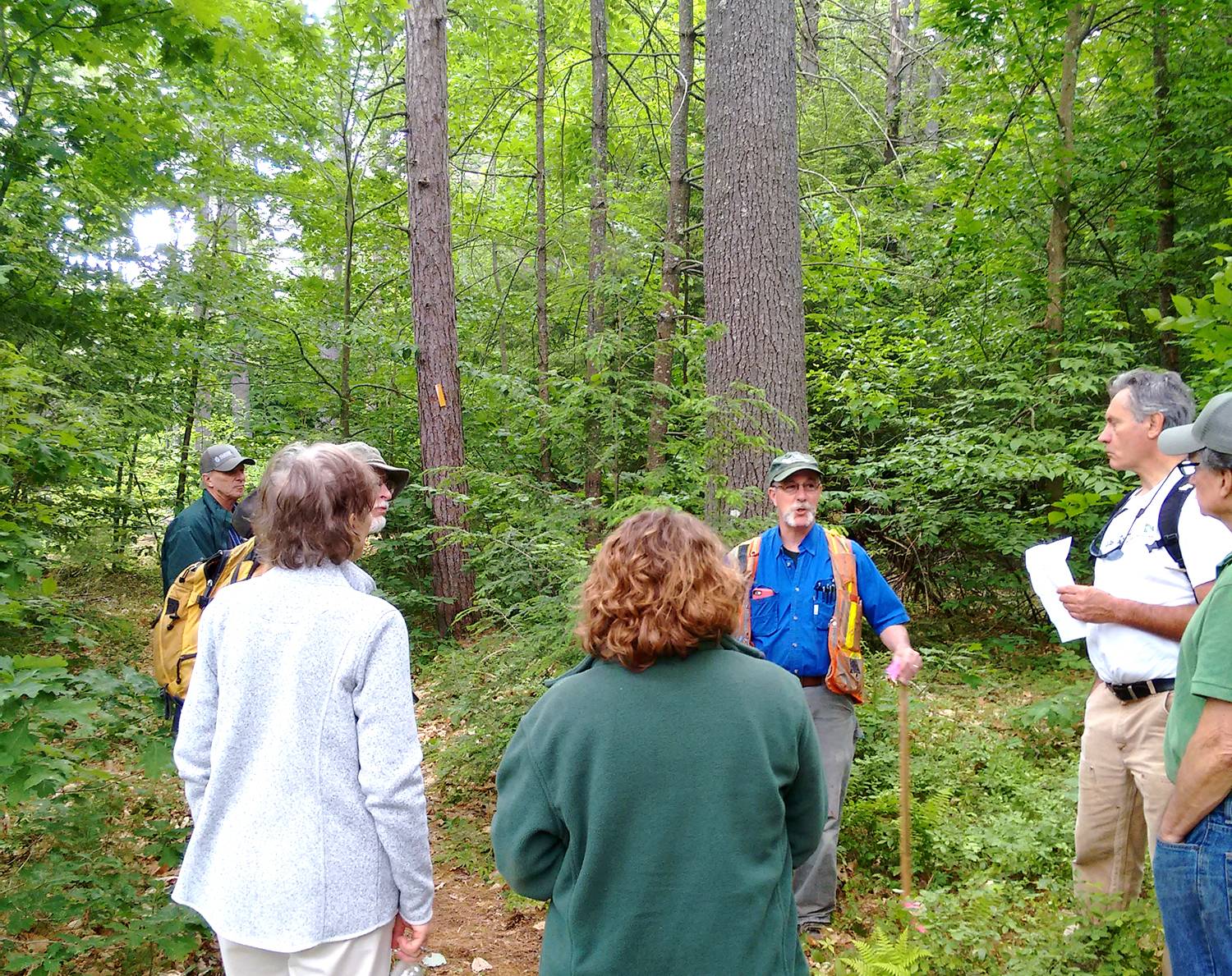 New England Forestry Foundation