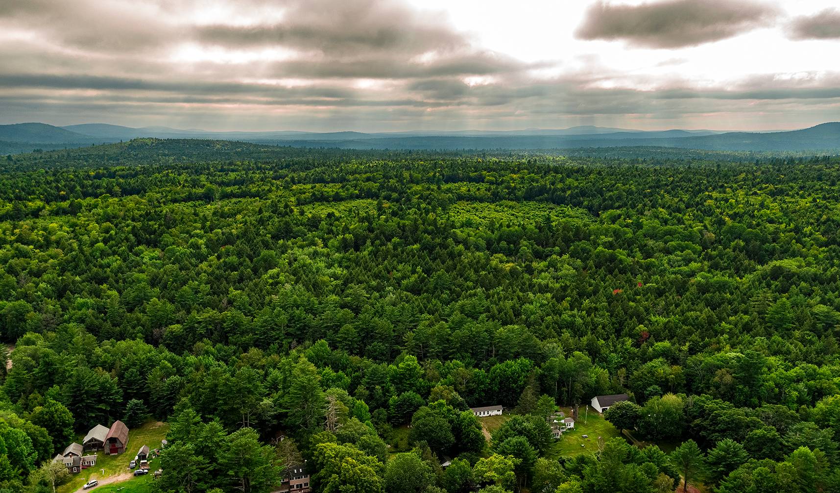 New England Forestry Foundation