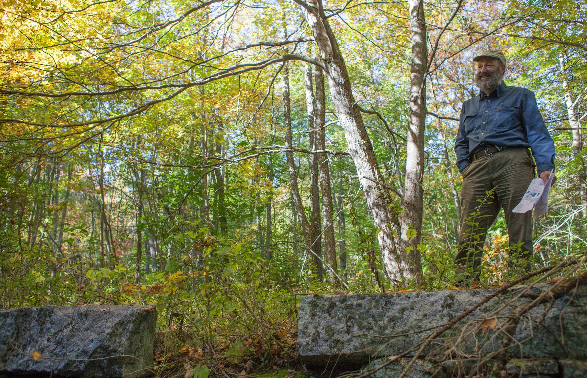 New England Forestry Foundation