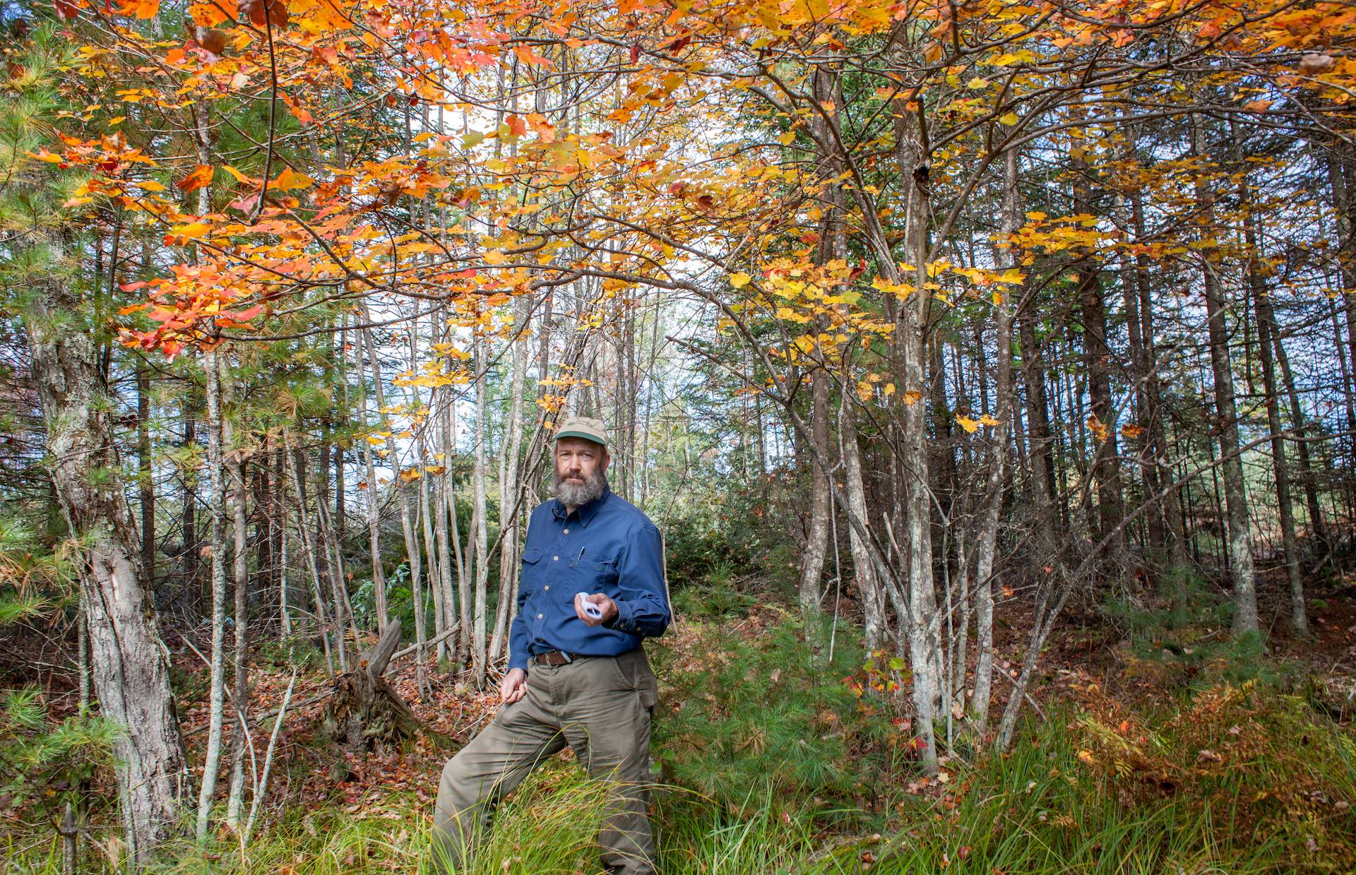 New England Forestry Foundation