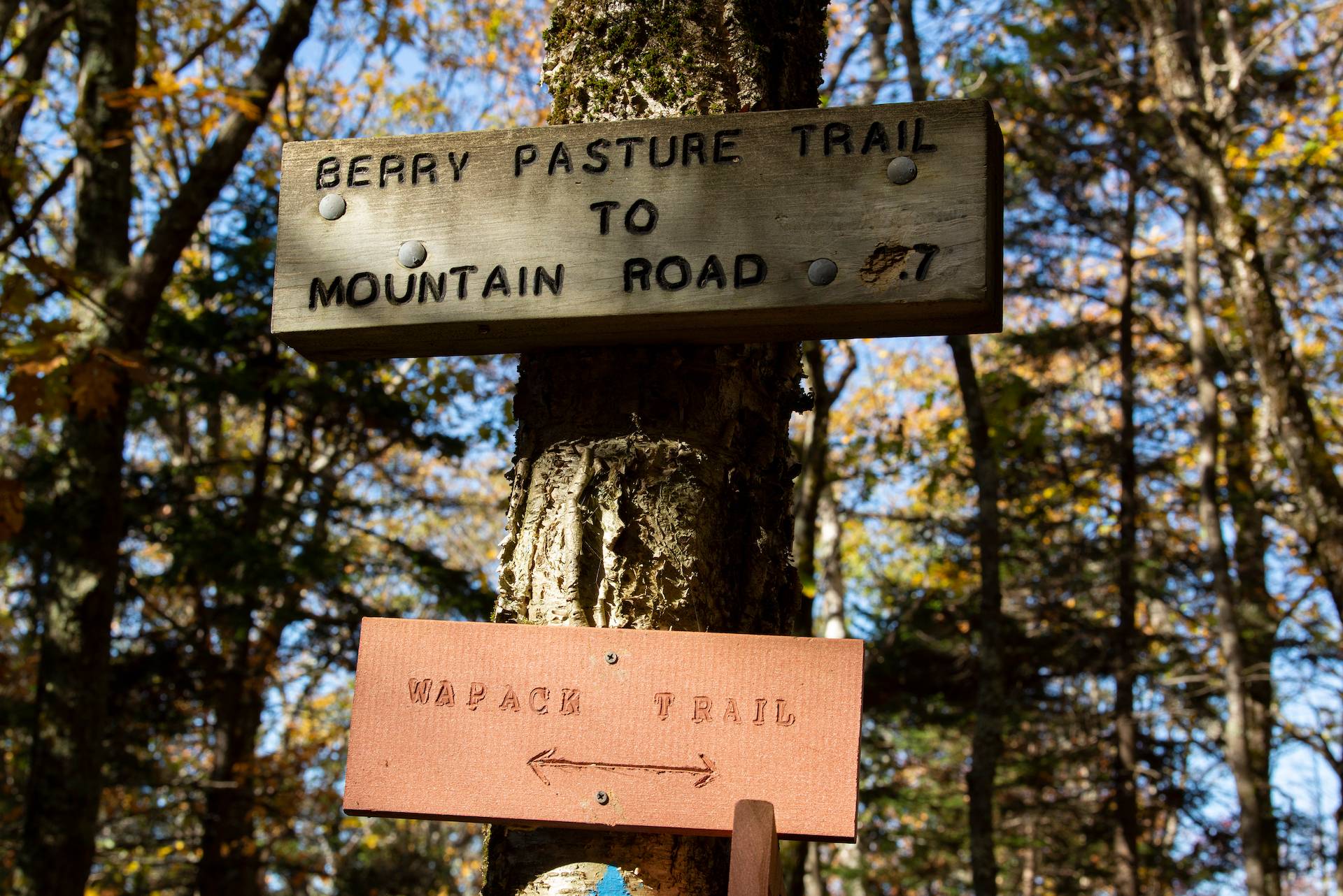 New England Forestry Foundation