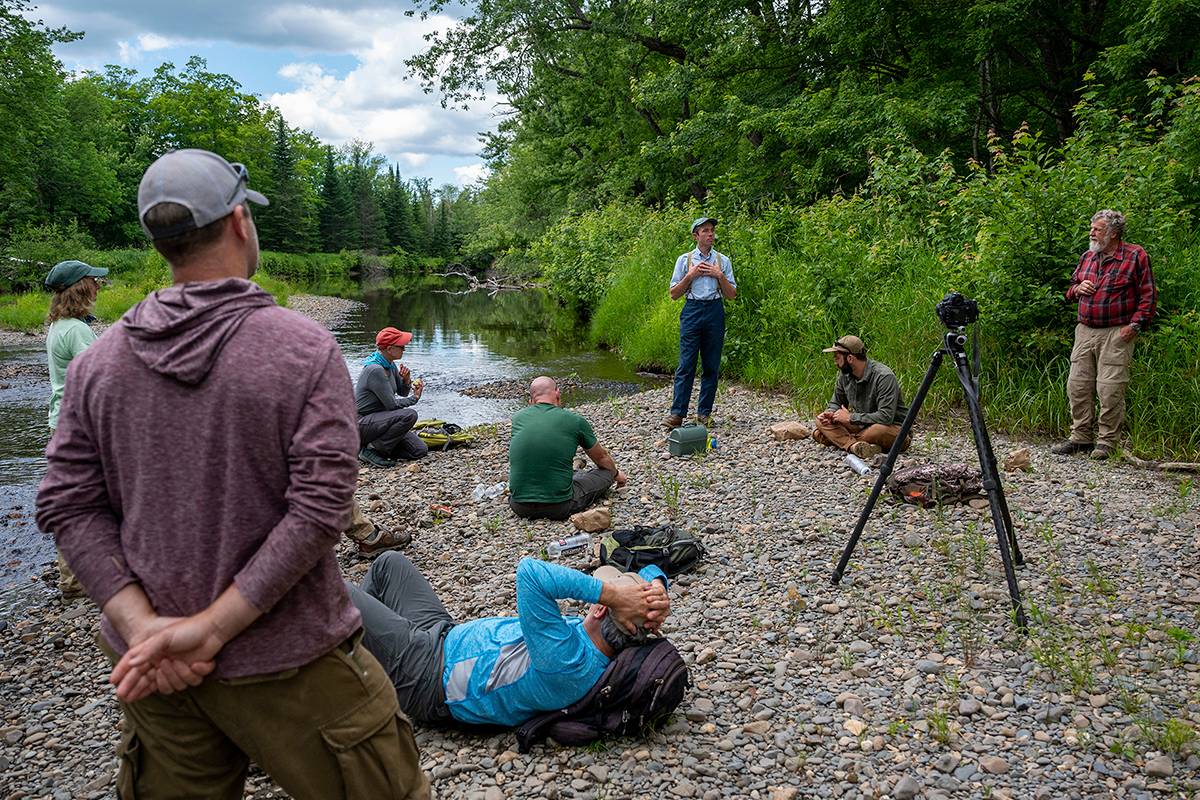 New England Forestry Foundation