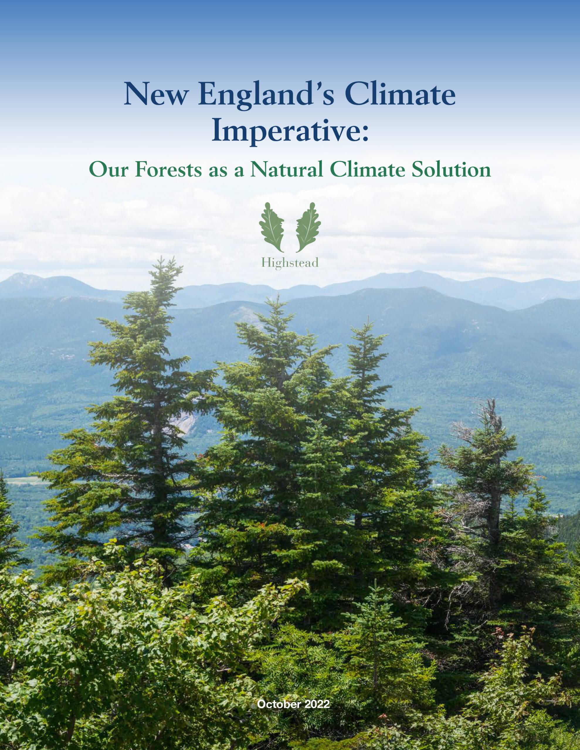 New England Forestry Foundation