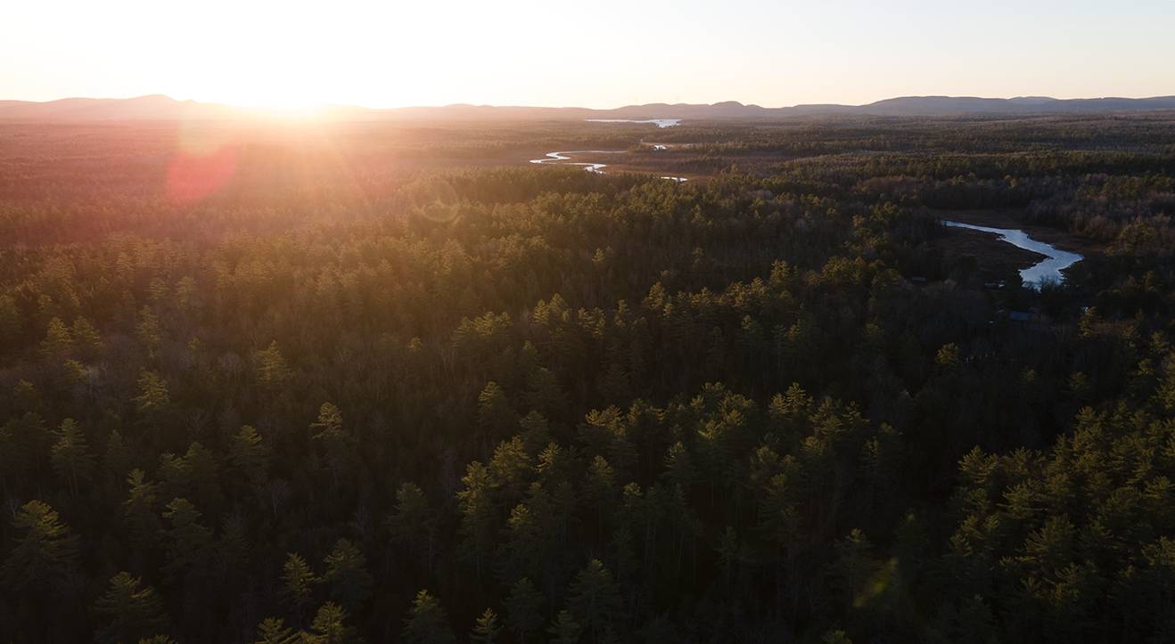 An aerial photograph of a beautiful Acadian forest sunrise, photo by Lauren Owens Lambert