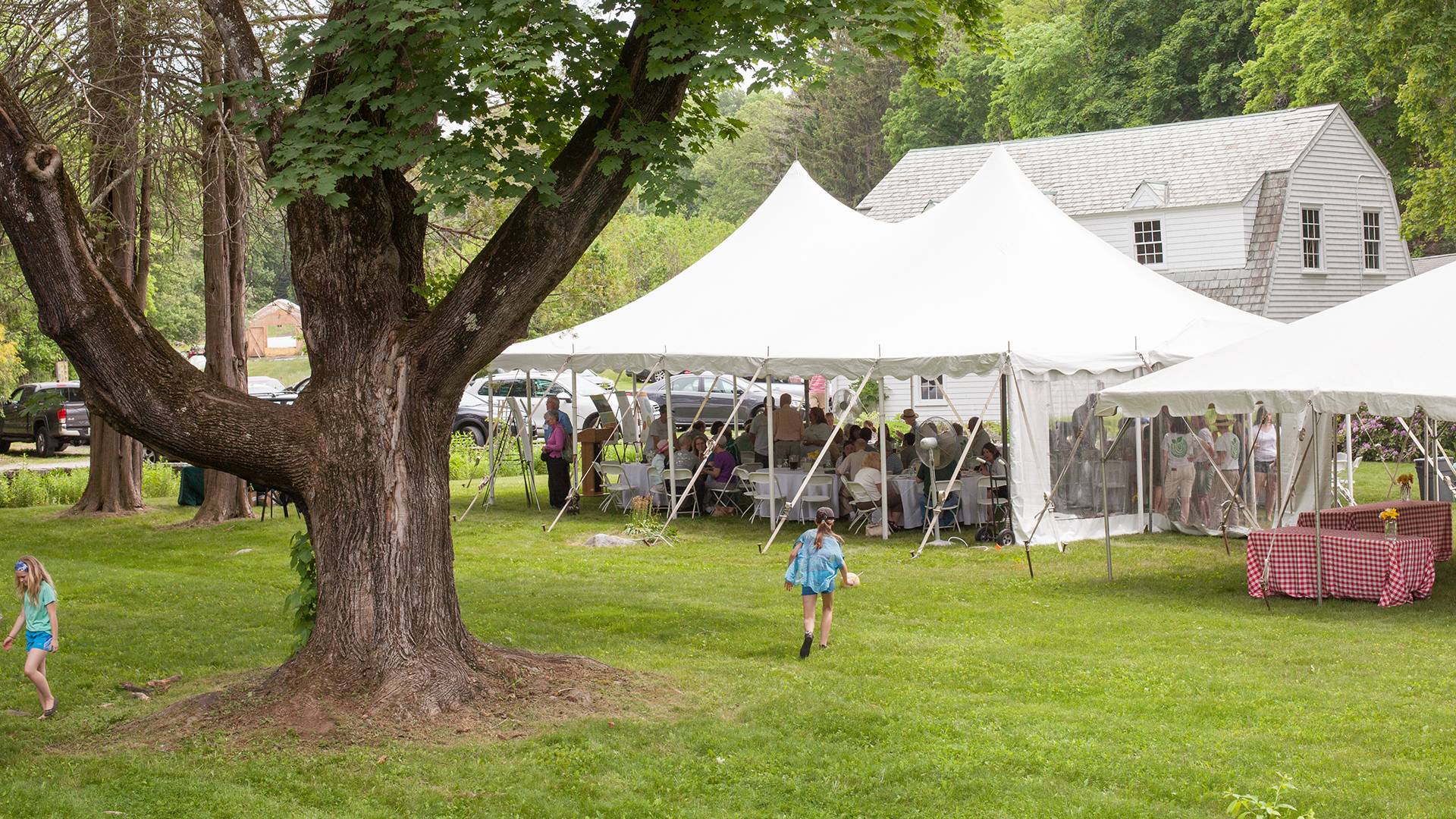 New England Forestry Foundation