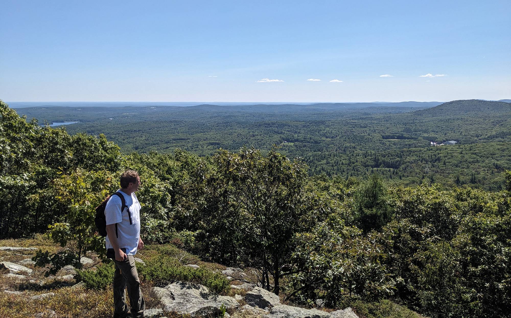 NEFF Conservation Easement Director Andrew Bentley surveys a forested landscape from a high vantage point in Temple, NH. Photo by David Ayers.