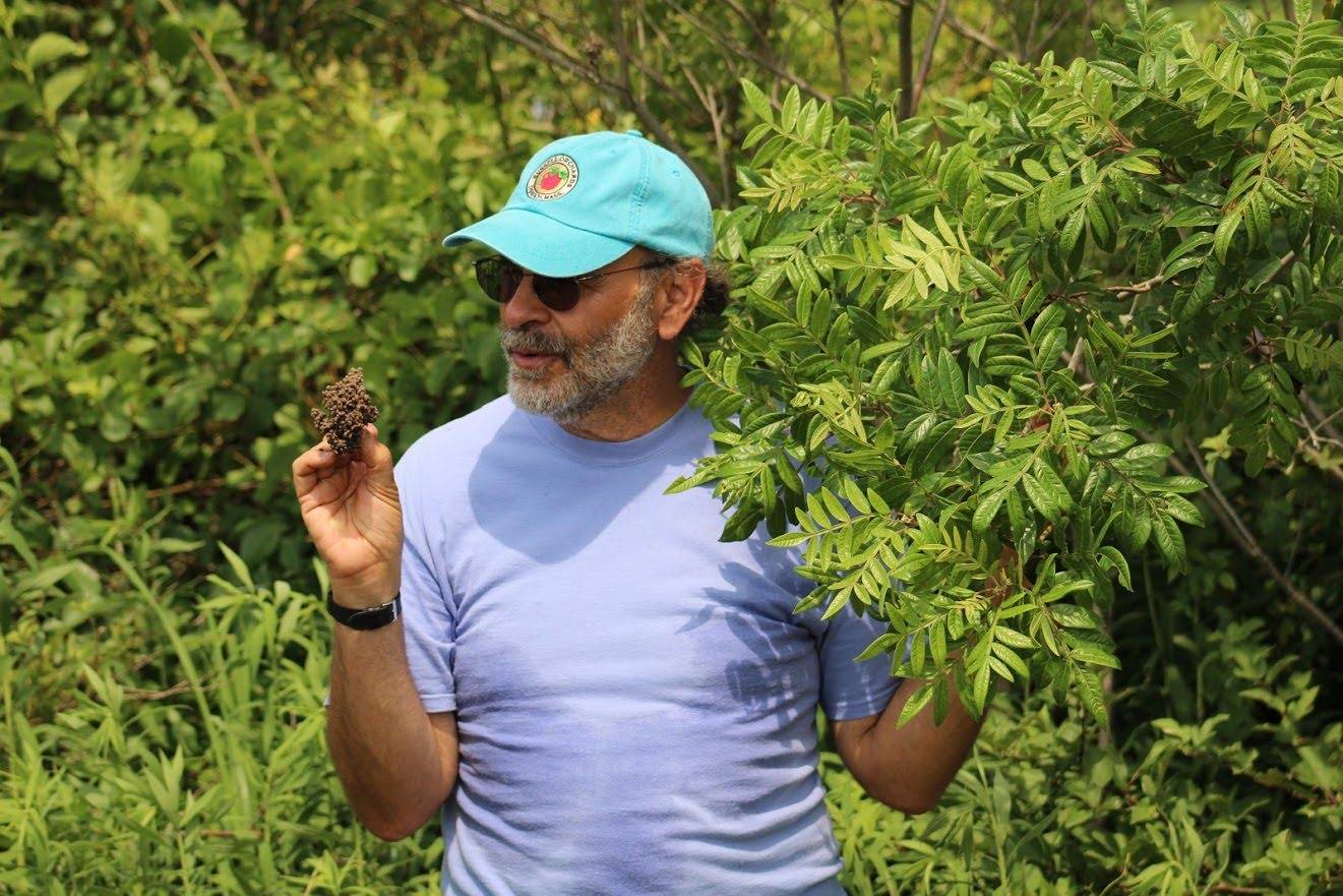 A photo of Russ Cohen presenting winged shining sumac fruit to a group at a 2017 event at Westport Town Farm in Westport, Massachusetts.