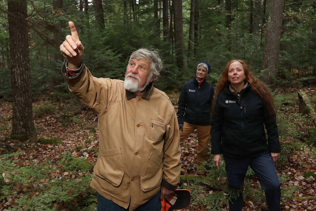 New England Forestry Foundation