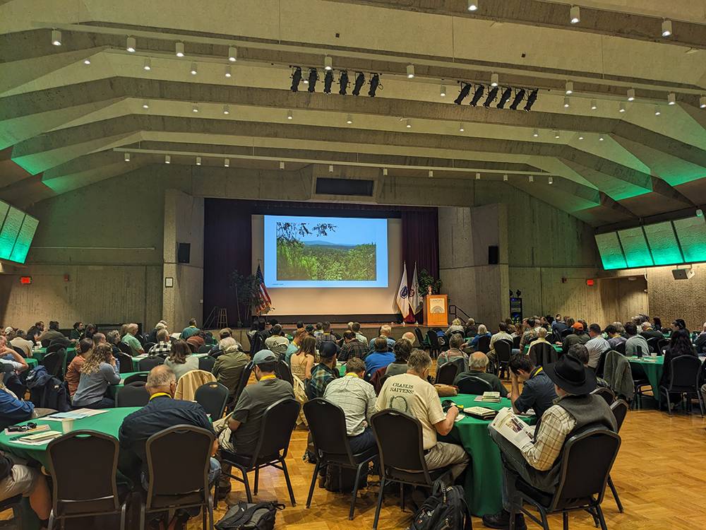 NEFF Bioeconomy Initiative Director Jen Shakun speaks to a large crowd at Canopy 2025 held at UMass Amherst on May 29, 2025.