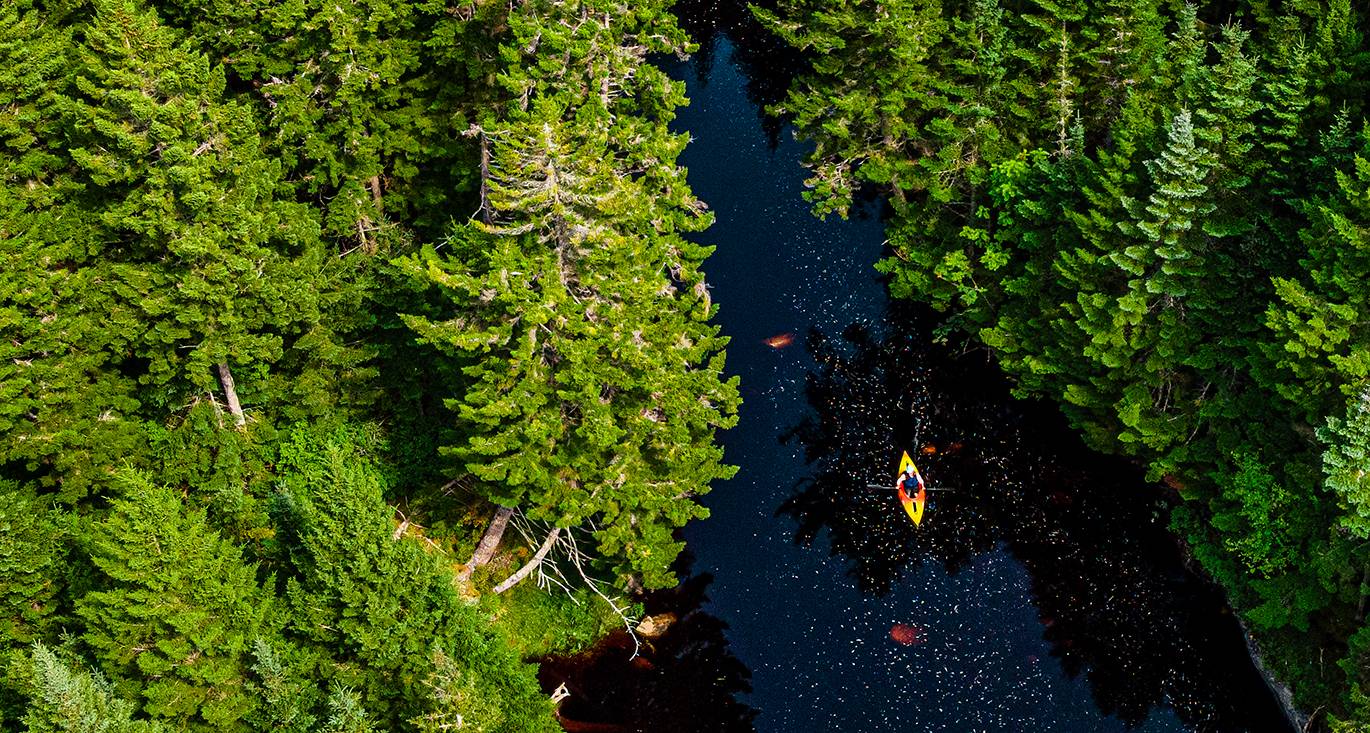 An aerial photo of a kayaker paddling on Holmes Stream in Whiting, Maine, part of NEFF's Downeast Woods and Wildlife Project